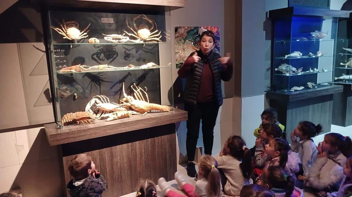 Öğrencilerimizin ÇOMÜ Piri Reis Deniz Müzesi Gezisi